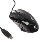 Мышь Perfeo PF-1712 QUEST, игровая, проводная, подсветка, 3200 dpi, USB, чёрная - Фото 1