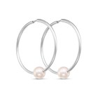 Серьги кольца «Жемчуг», d=2.6 см, посеребрение, белые - Фото 1