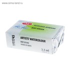 Акварель художественная в кювете 2.5 мл, ЗХК «Белые ночи», майская зелёная, 1911745 - Фото 3