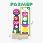 Пирамидка, 15 деталей, 10 схем - Фото 2