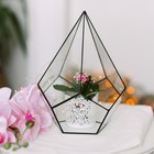 Флорариум «Пирамидка», средняя, стекло, швы чёрные - Фото 1