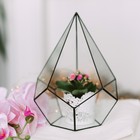 Флорариум «Пирамидка», средняя, стекло, швы чёрные - Фото 2