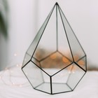 Флорариум «Пирамидка», средняя, стекло, швы чёрные - Фото 3