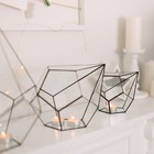 Флорариум «Пирамидка», средняя, стекло, швы чёрные - Фото 4