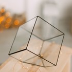 Флорариум "Куб" большой (швы черные) - Фото 2