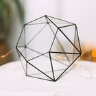 Флорариум «Бриллиант», стекло, швы чёрные - Фото 1