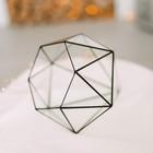 Флорариум «Бриллиант», стекло, швы чёрные - Фото 2