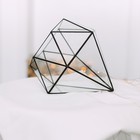 Флорариум «Бриллиант», стекло, швы чёрные - Фото 5