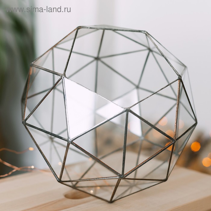 Флорариум «Сложный», стекло, швы серебро - Фото 1