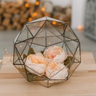 Флорариум «Сложный», стекло, швы серебро - Фото 2