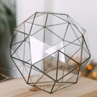 Флорариум «Сложный», стекло, швы медь - Фото 1