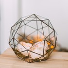 Флорариум «Сложный», стекло, швы медь - Фото 3