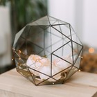 Флорариум «Сложный», стекло, швы медь - Фото 4