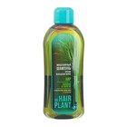 Шампунь для волос мицеллярный Dr.Hair Plant"Аир" против выпадения,1 л - Фото 1