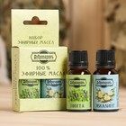 Набор эфирных масел пихта, эвкалипт, «Добропаровъ», 2 шт. по 17 мл - Фото 5