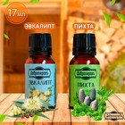 Набор эфирных масел пихта, эвкалипт, "Добропаровъ", 2 шт по 17 мл - фото 9725309