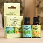 Набор эфирных масел лимон, мята «Добропаровъ», 2 шт. по 17 мл - Фото 5