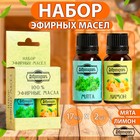 Набор эфирных масел лимон, мята "Добропаровъ", 2 шт по 17 мл - фото 11924960