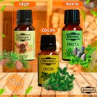 Набор эфирных масел сосна, пихта, кедр, «Добропаровъ»,3 шт. по 17 мл - Фото 3