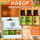 Набор эфирных масел сосна, пихта, кедр, «Добропаровъ»,3 шт. по 17 мл - Фото 2