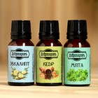 Набор эфирных масел эвкалипт, мята, кедр, «Добропаровъ», 3 шт. по 17 мл - Фото 6