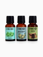 Набор эфирных масел эвкалипт, мята, кедр, «Добропаровъ», 3 шт. по 17 мл - Фото 12