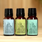 Набор эфирных масел эвкалипт, мята, кедр, «Добропаровъ», 3 шт. по 17 мл - Фото 7