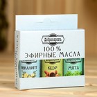 Набор эфирных масел эвкалипт, мята, кедр, «Добропаровъ», 3 шт. по 17 мл - Фото 8
