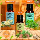 Набор эфирных масел эвкалипт, мята, кедр, «Добропаровъ», 3 шт. по 17 мл - Фото 2