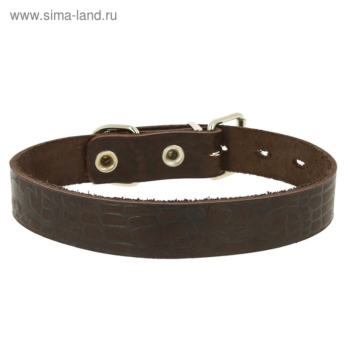 Ошейник кожаный с накаткой, ОШ 50-59 х 3,5 см, микс цветов - Фото 1