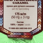 Пряжа "Карамелька" 100% акрил 175м/50гр (027 незрел. Лимон) - Фото 5