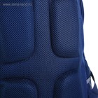 Рюкзак школьный Bruno Visconti, 40 х 30 х 16 см, эргономичная спинка, Dolce Vita, синий - фото 24723903