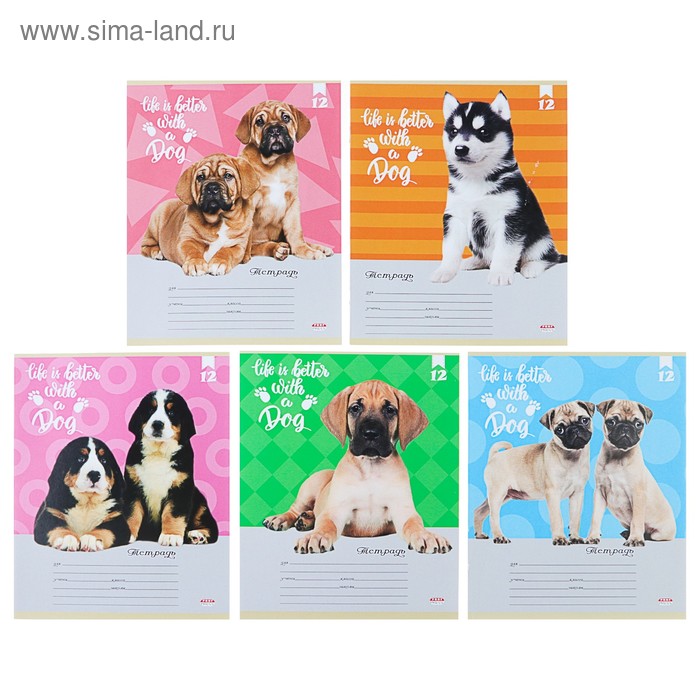 Тетрадь 12 листов косая линия «Породистые щенки», обложка мелованная бумага, МИКС - Фото 1