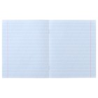 Тетрадь 12 листов косая линия «Породистые щенки», обложка мелованная бумага, МИКС - Фото 2