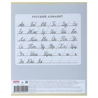 Тетрадь 12 листов косая линия «Породистые щенки», обложка мелованная бумага, МИКС - Фото 3