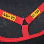 Ранец Стандарт Hatber Balance, 35 х 27 х 14 см, для мальчика, «Гонки», чёрный/красный - Фото 2