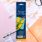 Магнитные закладки для книг, 4 шт., в открытке «Любимому учителю» - Фото 5