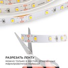Комплект светодиодной ленты Apeyron 12В, SMD3528, 1 м, IP20, 60LED/м, 3000К, свечение тёплое белое - Фото 6
