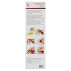 Бумага фигурная для квиллинга "ЦВЕТЫ" холодные оттенки (набор 16 листов) - Фото 2