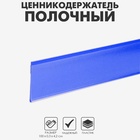 Ценникодержатель полочный самоклеящийся, DBR=39, 1000 мм, синий - Фото 1