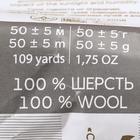 Шерсть для валяния 100% полутонкая шерсть 50гр (21 брусника) МИКС - Фото 7