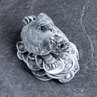Сувенир "Дракон-черепаха на монетах" 6,5см - Фото 4