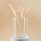 Ваза «Трубка 146», d=15 см, h=20 см, стекло, прозрачная - Фото 2