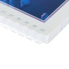 Тетрадь А4, 96 листов клетка «Океан», обложка мелованный картон, УФ-лак, МИКС 4348749