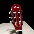 Классическая гитара TERRIS TC-3901A NA - фото 26930608