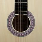 Классическая гитара TERRIS TC-3901A NA - фото 26930609