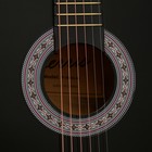 Акустическая гитара TERRIS TF-3802A BK - Фото 3