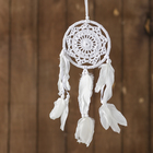 Ловец снов «Чистота», 0.7×12×40 см, белый - Фото 1