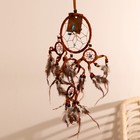 Ловец снов «Пять коричневых колец», 0.7×15×40 см - Фото 2