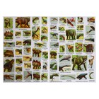 Атлас Мира с наклейками «Динозавры», 21 × 29.7 см - Фото 5